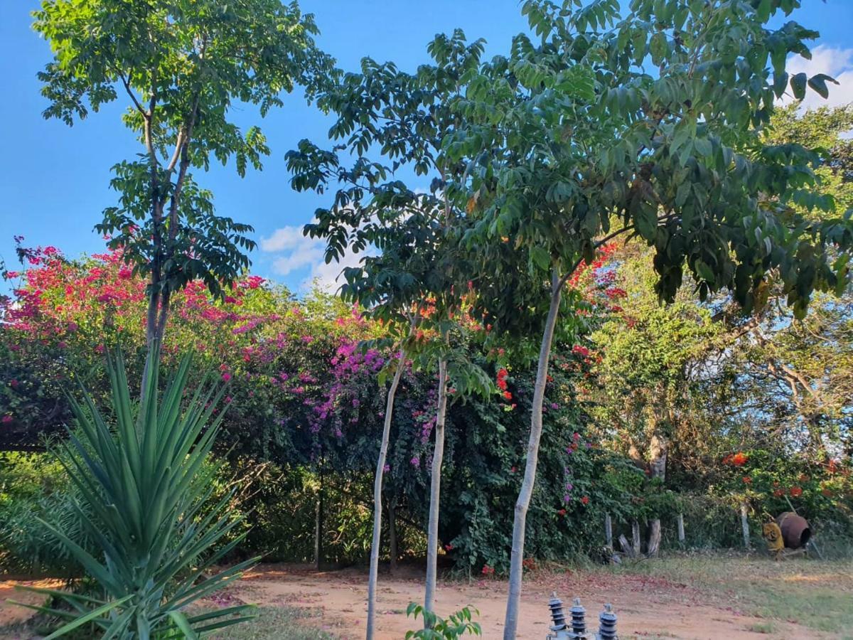 Pousada Do Rio Corrente Alvorada do Norte Exterior foto